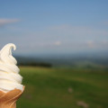 ナイタイ高原牧場のソフトクリーム